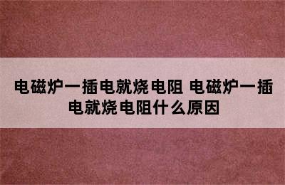 电磁炉一插电就烧电阻 电磁炉一插电就烧电阻什么原因